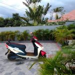 photo_۲۰۲۵-۰۷-۲۸_۰۹-۴۱-۲۹